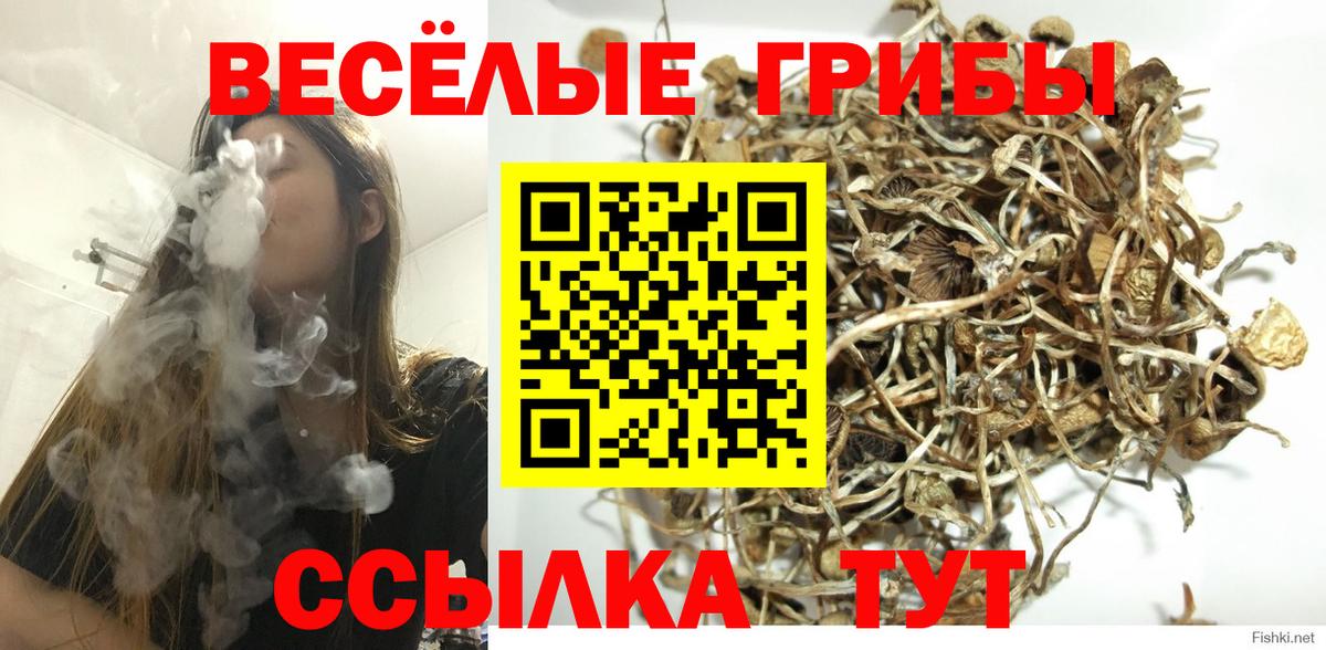 Галлюциногенные грибы прущие грибы Воронеж